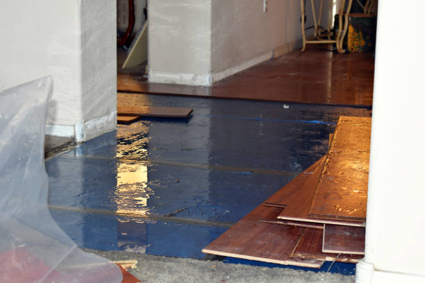 Professional Emergency Water Damage Restoration technician working in Trenton, MO